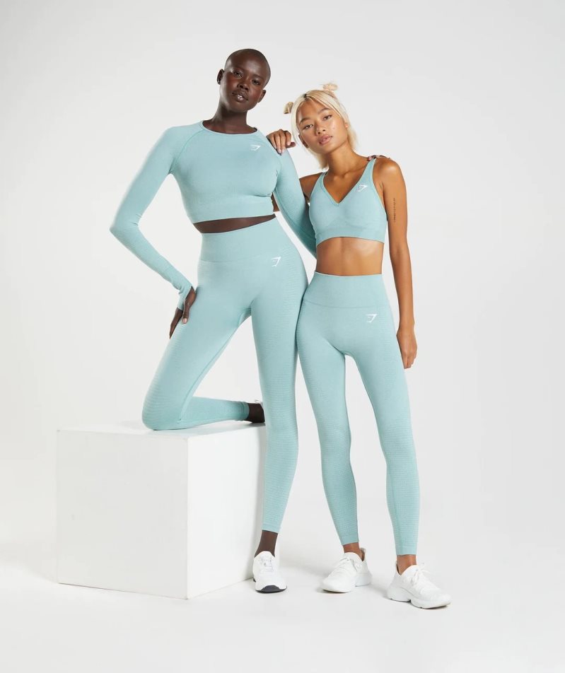 Women's Gymshark Vital Seamless 2.0 Leggings Light Blue | NZ 9JCYAV